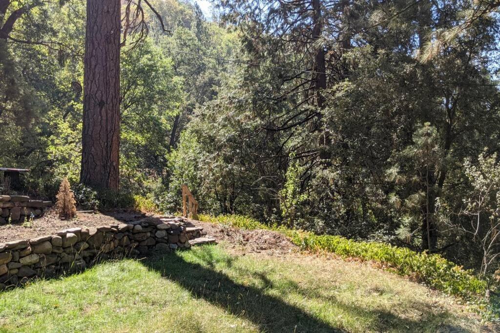 Pierce'S Cabin Miramonte Exterior photo